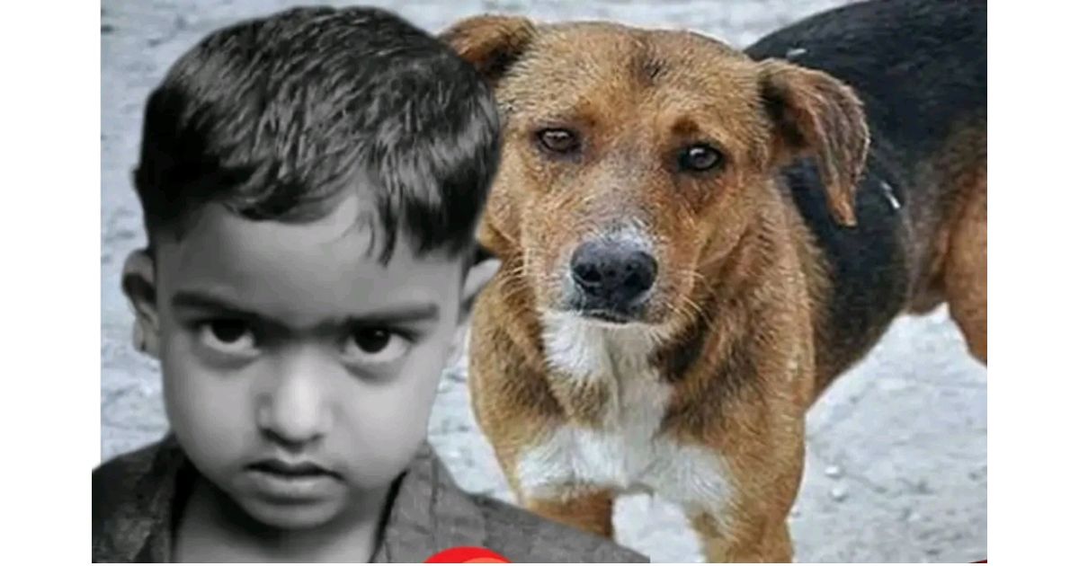 ভৈরবে প্রতিবেশীর কুকুরের খাওয়া অর্ধেক বিস্কুট কুড়িয়ে খেয়ে প্রাণ গেল শিশুর