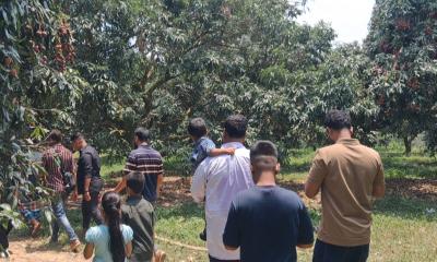 ফলের রাজ্য বিজয়নগর এখন পর্যটকদের মিলনমেলা