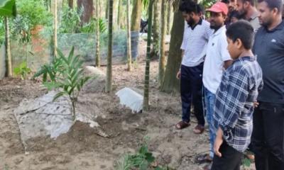 দাফনের ১৮ দিনের মাথায় তরুণীর কবর খুঁড়ে যা দেখা গেল