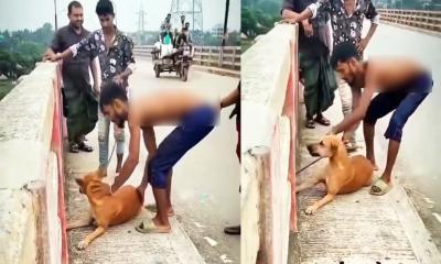 কুকুরের গলায় ইট বেঁধে সেতু থেকে নদীতে ফেলা যুবক আটক