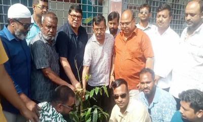 গাইবান্ধায় ছাত্রদলের উদ্যোগে বৃক্ষরোপণ ও ক্রীড়া সামগ্রী বিতরণ