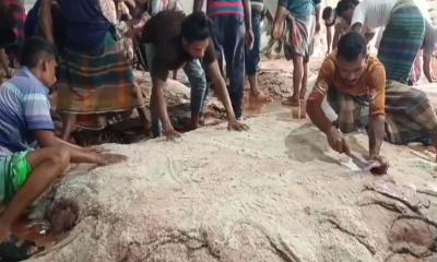 বরিশালে চামড়া বাজারে হতাশা, ন্যায্যমূল্য নিয়ে ক্ষোভ