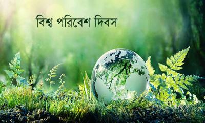 চাঁদপুরে বিশ্ব পরিবেশ দিবস উদযাপন: নানা কর্মসূচির মধ্য দিয়ে পালিত