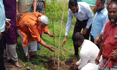 পঞ্চগড়ে জেলা পরিষদের উদ্যোগে বৃক্ষরোপণ কর্মসূচির উদ্বোধন
