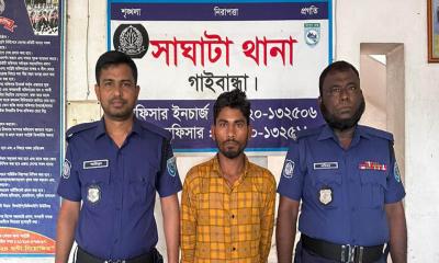 সাঘাটায় গাঁজাসহ যুবক গ্রেপ্তার