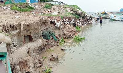 দৌলতদিয়া ফেরিঘাট এলাকায় পদ্মার তীব্র ভাঙন, আতঙ্কে নদীপাড়ের মানুষ