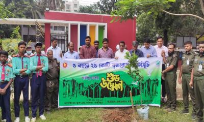 কোদাল হাতে বৃক্ষরোপণ করলেন গাজীপুরের ডিসি