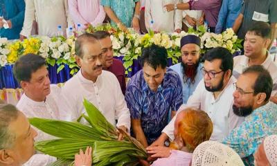 রায়পুরে কৃষি প্রণোদনায় ১২ হাজার ফলদ গাছের চারা বিতরণ