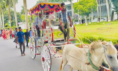 ৩৮ বছরের কর্মজীবনের ইতি, ঘোড়ার গাড়িতে বাকৃবি অধ্যাপককে রাজকীয় বিদায়