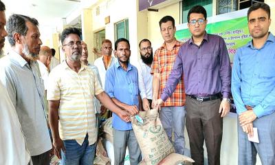আশুগঞ্জে প্রায় ২ হাজার কৃষকের মাঝে বিনামূল্যে বীজ ও সার বিতরণ