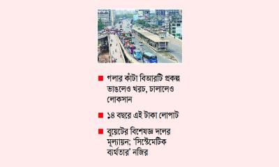 ৩ হাজার কোটি টাকার প্রকল্প বাতিল!