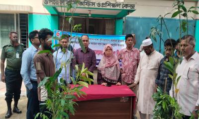 মহেশপুরে কৃষকদের মাঝে কৃষি উপকরণ ও গাছের চারা বিতরণ