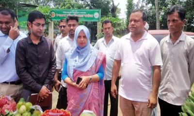 মাটিরাঙ্গায় ৩ দিনব্যাপী জাতীয় ফল মেলার উদ্বোধন