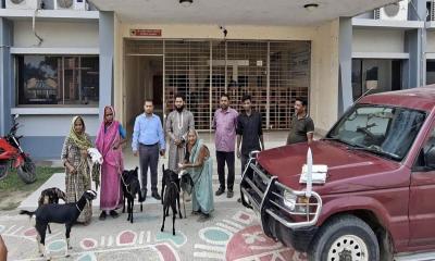 খোকসায় ভিক্ষুক পুনর্বাসনে ৩ জনের মাঝে ৬টি ছাগল বিতরণ