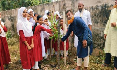 পোরশায় গাঙ্গুরিয়া উচ্চ বিদ্যালয় মাঠে বৃক্ষরোপণ কর্মসূচি পালন