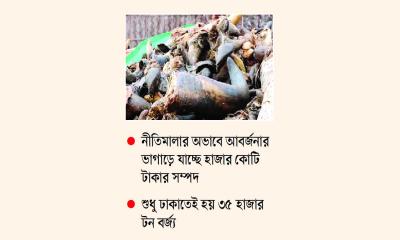 কোরবানির বর্জ্যেই কোটি ডলারের সম্ভাবনা