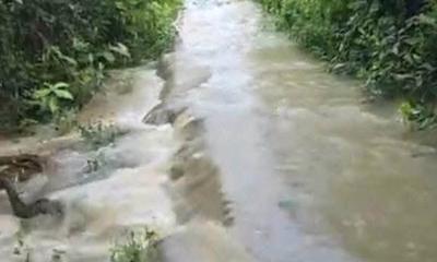 মুহুরী নদীর পানি উপচে লোকালয়ে, ভাঙন আতঙ্কে নদীপাড়ের মানুষ