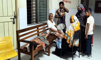 গাংনীতে বেওয়ারিশ কুকুরের কামড়ে শিশুসহ আহত ১৭