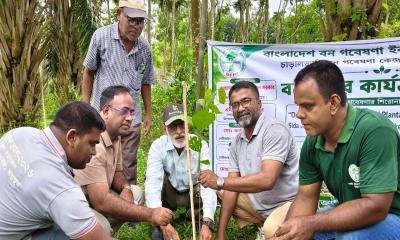 মধুপুর চাড়ালজানি বন গবেষণা কেন্দ্রে বনায়ন কার্যক্রম উদ্বোধন