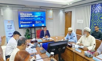 সামুদ্রিক বাস্তুতন্ত্র রক্ষায় হাঙর ও শাপলাপাতা মাছ সংরক্ষণের আহ্বান