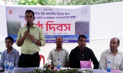 মাটিরাঙ্গায় বিনাতিল-২ এর চাষাবাদ সম্প্রসারণে মাঠদিবস উদযাপন