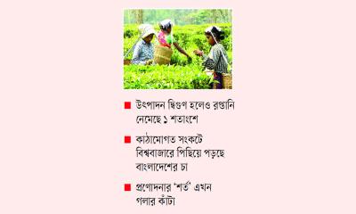 ভুল নীতিতে ধুঁকছে চা শিল্প