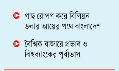 সবুজ এক অর্থনৈতিক বিপ্লবের হাতছানি