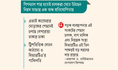 সিগন্যালে শৃঙ্খলা, সড়কে নৈরাজ্য