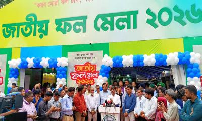 রাজধানীতে শুরু হলো তিন দিনব্যাপী জাতীয় ফল মেলা