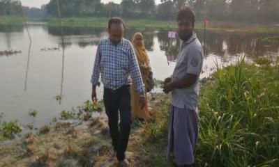 প্রযুক্তির নজরে অভয়াশ্রম, রক্ষা পাবে দেশীয় মাছ