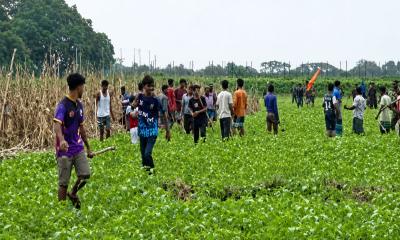 রৌমারী সীমান্তে লাঠি হাতে বিএসএফকে ধাওয়া