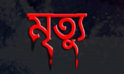 মীরসরাইয়ে ট্রাকের ধাক্কায় বৃদ্ধের মৃত্যু