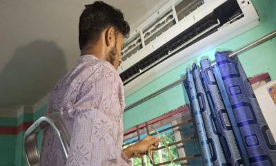 বাসার এসির ভেতরে মিললো দুই জোড়া কালনাগিনী সাপ