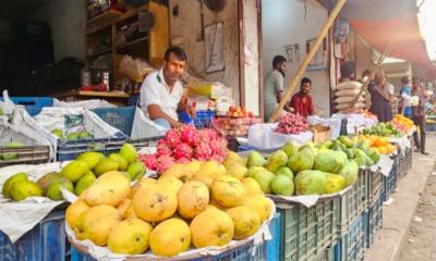 টাঙ্গাইলে মধু মাস: রঙে-রসে পরিপূর্ণ ফলের বাজার