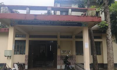 জনবল সংকটে বাগাতিপাড়া প্রাণিসম্পদ দপ্তর, ব্যাহত টিকাদান ও খামারি সেবা