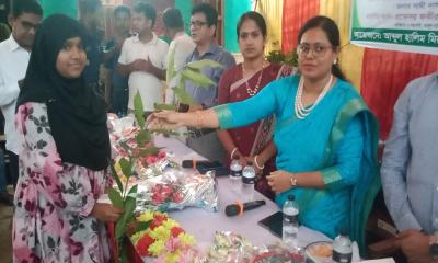 বৈশ্বিক উঞ্চতা নিরসনে বৃক্ষ রোপণ গুরুত্বপূর্ণ