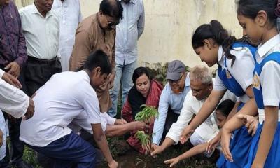 উখিয়ায় বৃক্ষরোপণ কর্মসূচি অনুষ্ঠিত