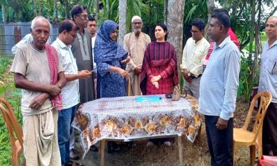 ফুলবাড়ীতে কৃষি কার্ড বিতরণ কার্যক্রমের প্রথম ধাপের উদ্বোধন