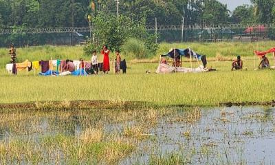 পুশইনে ব্যর্থ হয়ে রাতের আঁধারে ১০ জনকে সরিয়ে নিলো বিএসএফ