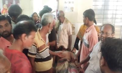 গাংনীতে সাপের কামড়ে প্রাণ গেল কৃষকের