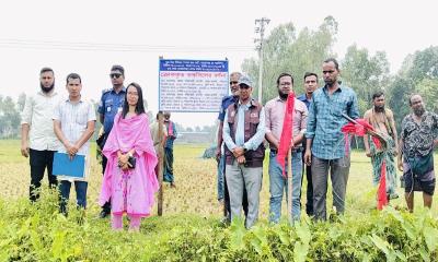 সরিষাবাড়ীতে মানি লন্ডারিং অভিযোগে জমি জব্দ