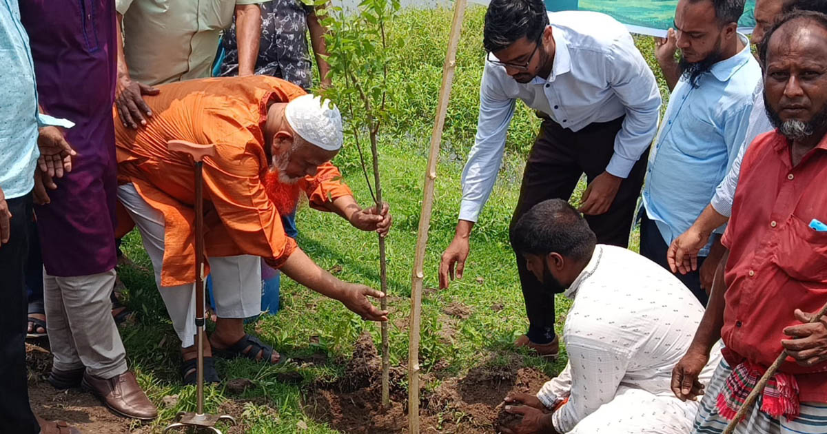 পঞ্চগড়ে জেলা পরিষদের উদ্যোগে বৃক্ষরোপণ কর্মসূচির উদ্বোধন