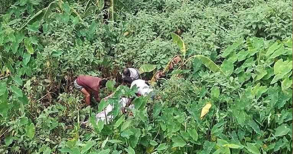 সখীপুরে নিখোঁজের একদিন পর নারীর মরদেহ উদ্ধার