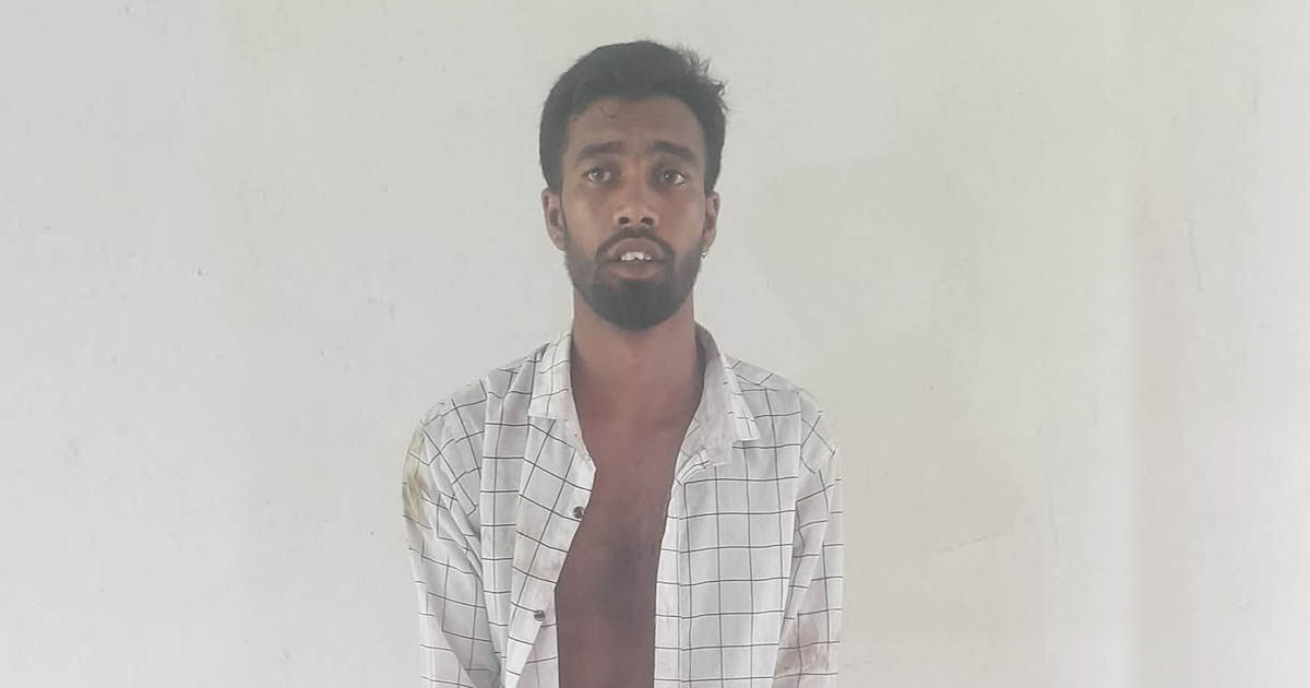 সাঘাটায় নাতির ছুরিকাঘাতে দাদি নিহত, দাদা গুরুতর আহত