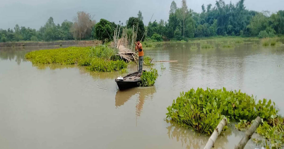 বিরামপুরে পানির তোড়ে সাঁকো নিখোঁজ, যাতায়াত বন্ধ ১৫ গ্রামের মানুষের