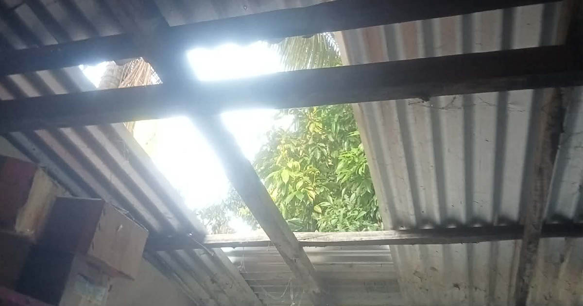 মাগুরায় সারের দোকানে টিনের চাল খুলে চুরি, সাড়ে ৫ লাখ টাকার ক্ষতি