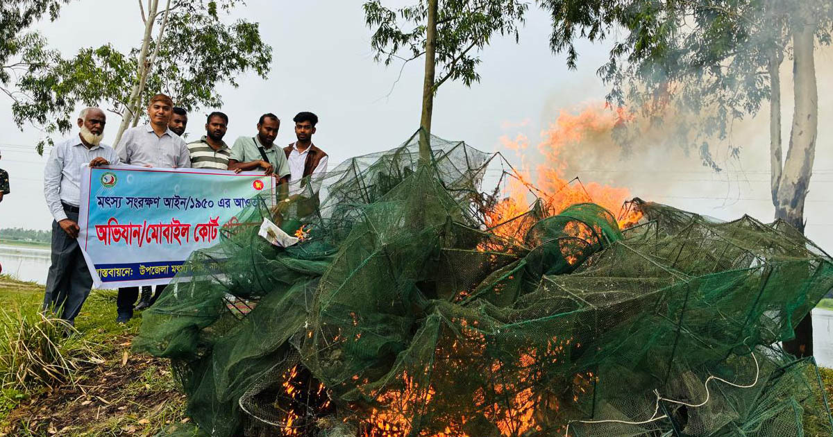 নাগরপুরের বনগ্রাম বিলে অভিযান, ৩৫টি চায়না জাল জব্দ ও ধ্বংস