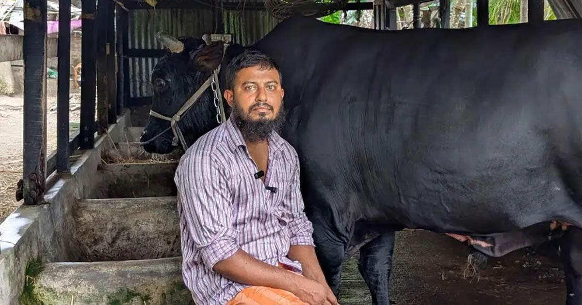 খালেদা জিয়ার ‘কালো মানিক’ উপহারদাতা সোহাগ গ্রেপ্তার