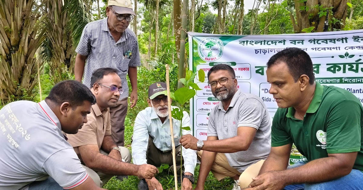 মধুপুর চাড়ালজানি বন গবেষণা কেন্দ্রে বনায়ন কার্যক্রম উদ্বোধন