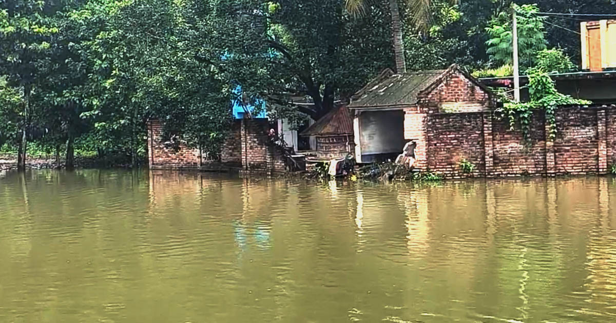মুজিবনগরে পানিবন্দী ৩৫টি পরিবার, চরম দুর্ভোগে মানুষ ও গবাদিপশু
